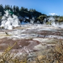 NZL WKO OrakeiKorako 2018APR19 044 : - DATE, - PLACES, - TRIPS, 10's, 2018, 2018 - Kiwi Kruisin, April, Day, Month, New Zealand, Oceania, Orakei Korako, Thursday, Waikato, Year