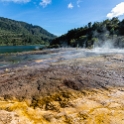 NZL WKO OrakeiKorako 2018APR19 050 : - DATE, - PLACES, - TRIPS, 10's, 2018, 2018 - Kiwi Kruisin, April, Day, Month, New Zealand, Oceania, Orakei Korako, Thursday, Waikato, Year