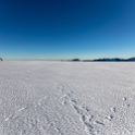 NZL WTC FoxGlacier 2018MAY01 FoxFranzHeliservices 027 : - DATE, - PLACES, - TRIPS, 10's, 2018, 2018 - Kiwi Kruisin, Day, Fox & Franz Heliservices, Fox Glacier, Franz Josef, May, Month, New Zealand, Oceania, Tuesday, West Coast, Year
